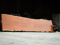 Makha Wood (MA.605/2)